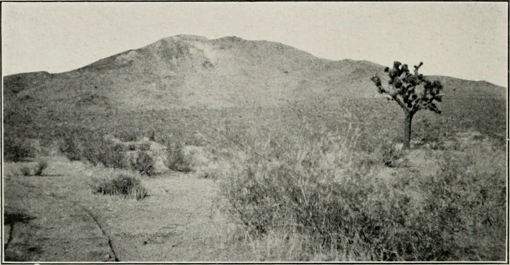 An illustration from The structural and industrial materials of California, 1906, leaf 113