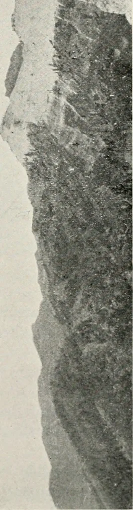 An illustration from The structural and industrial materials of California, 1906, leaf 116