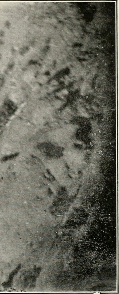An illustration from The structural and industrial materials of California, 1906, leaf 134