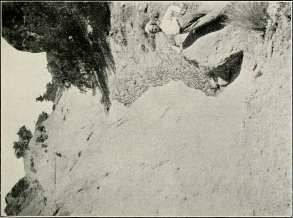 An illustration from The structural and industrial materials of California, 1906, leaf 134