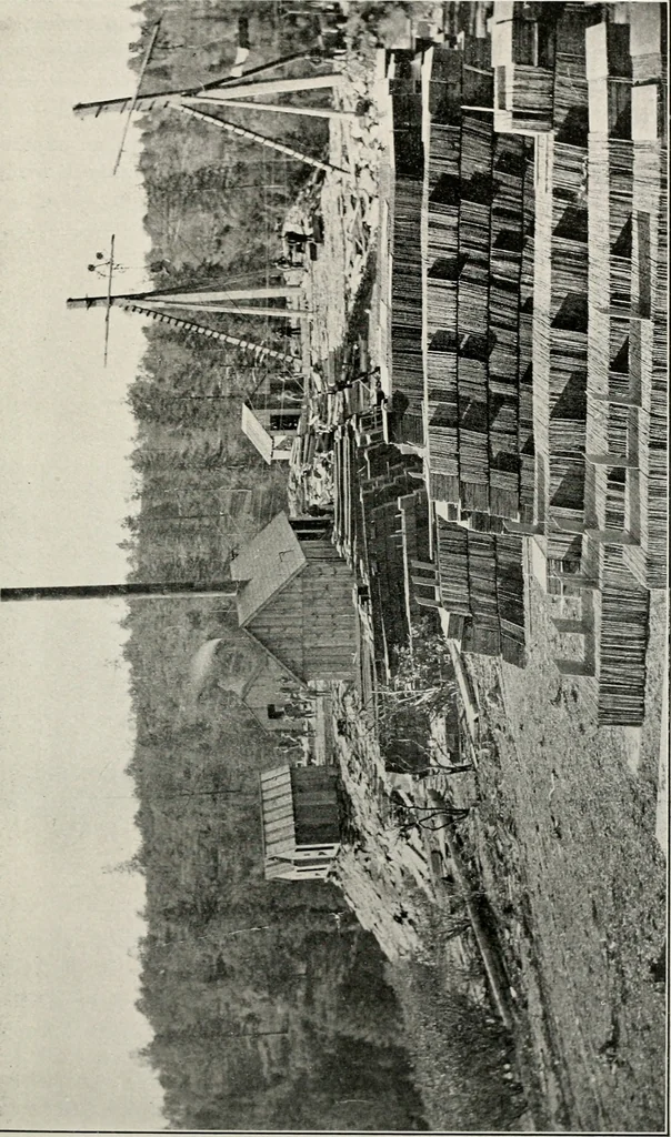 An illustration from The structural and industrial materials of California, 1906, leaf 160