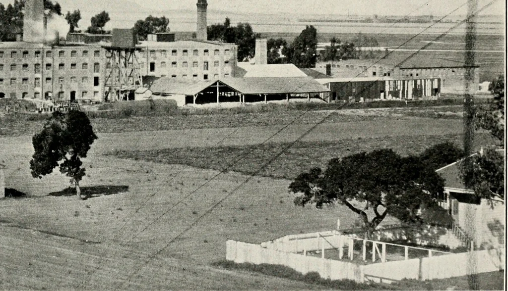 An illustration from The structural and industrial materials of California, 1906, leaf 210