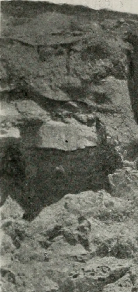 An illustration from The structural and industrial materials of California, 1906, leaf 229