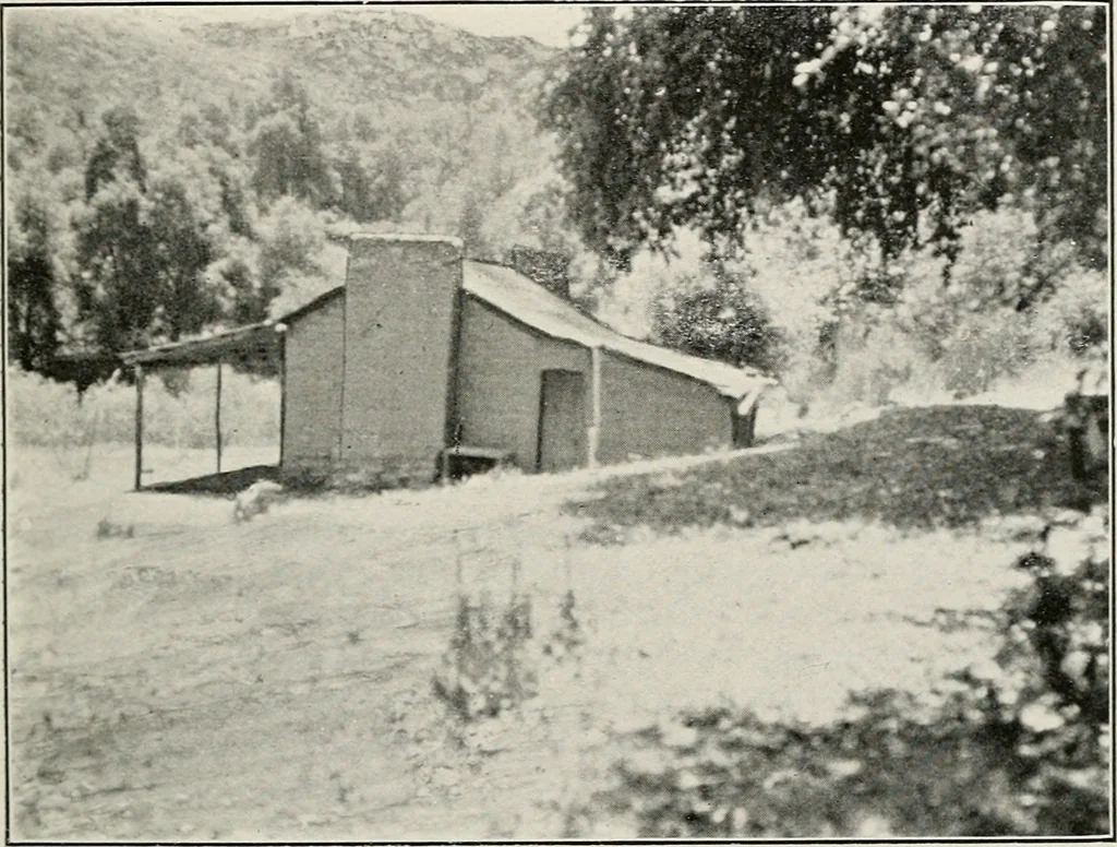 An illustration from The structural and industrial materials of California, 1906, leaf 238