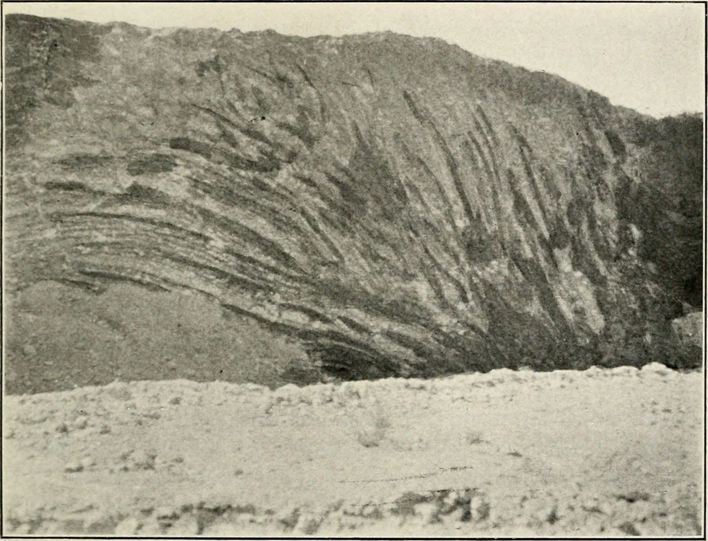 An illustration from The structural and industrial materials of California, 1906, leaf 292