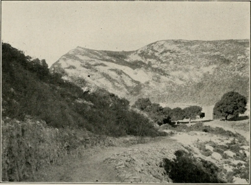 An illustration from The structural and industrial materials of California, 1906, leaf 301