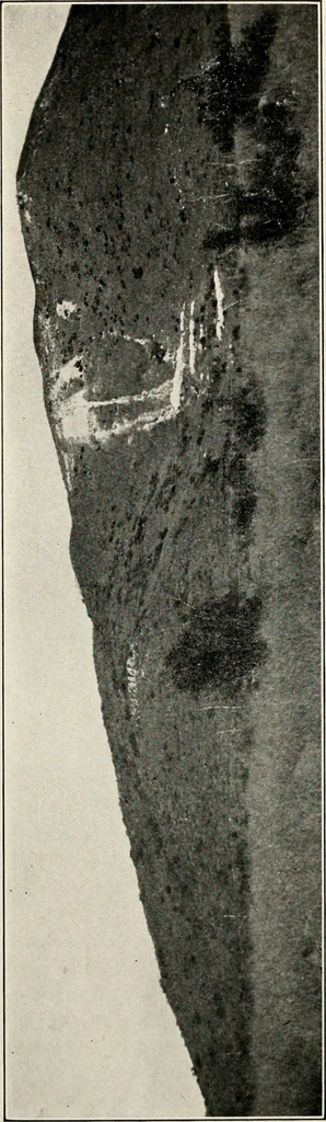 An illustration from The structural and industrial materials of California, 1906, leaf 316