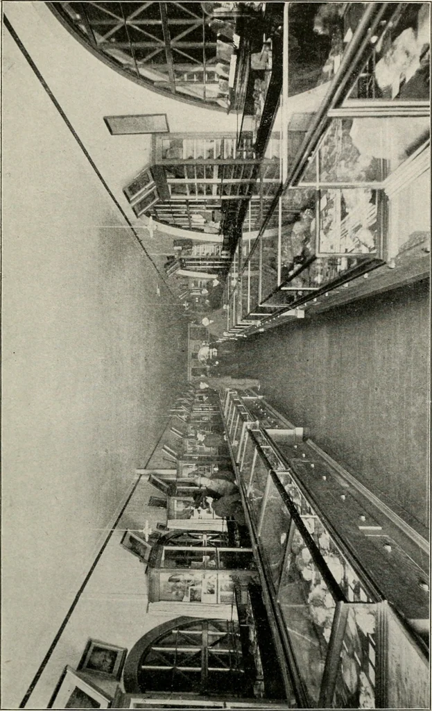 An illustration from The structural and industrial materials of California, 1906, leaf 390
