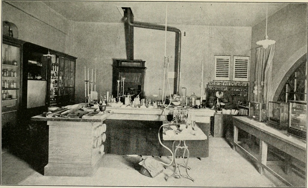 An illustration from The structural and industrial materials of California, 1906, leaf 394