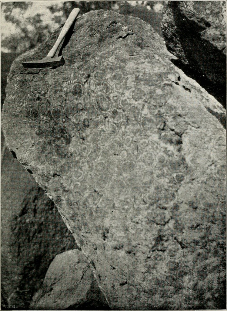 An illustration from The structural and industrial materials of California, 1906, leaf 64