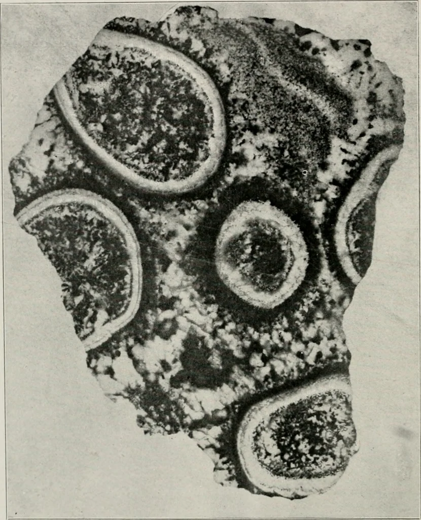 An illustration from The structural and industrial materials of California, 1906, leaf 65