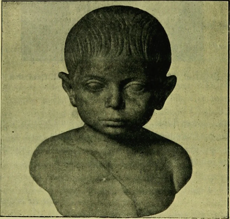 An illustration from La dégénérescence bachique et la névrose religieuse dans l'antiquité. Études medico-psychologiques, tirées des chefs-d'œuvre de la poésie, de l'histoire et de la philosophie, la Bible, Homère ... etc, 1901, leaf 179