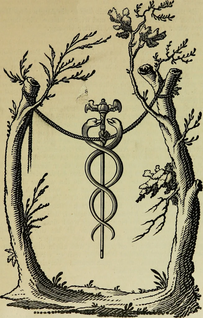 An illustration from Der Hypnotismus; Vorlesungen gehalten an der K. Friedrich-Wilhelms-Universität zu Berlin, 1890, leaf 172