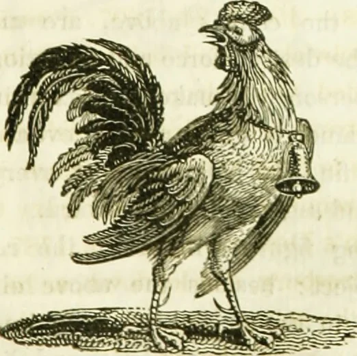 An illustration from Annals of some remarkable aërial and alpine voyages, including those of the author : to which are added, observations on the partial deafness to which aerial and mountain travellers are liable, and an essay on the flight and migration of birds, the whole being intended as supplementary to "Researches about atmospheric phenomena", 1832, leaf 112