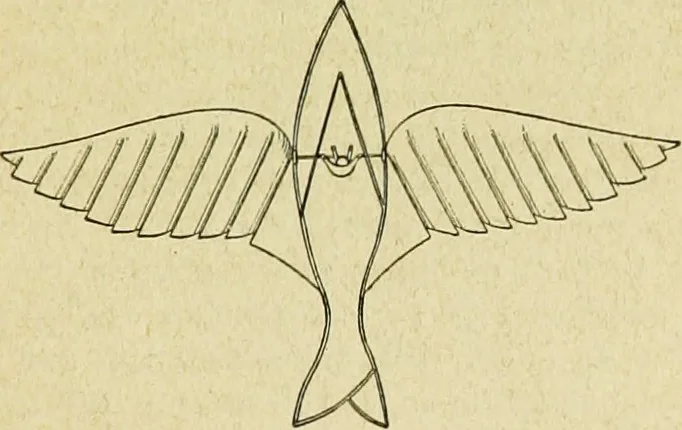 An illustration from La navigation aérienne : l'aviation et la direction des aérostats dans les temps anciens et modernes, 1886, leaf 106