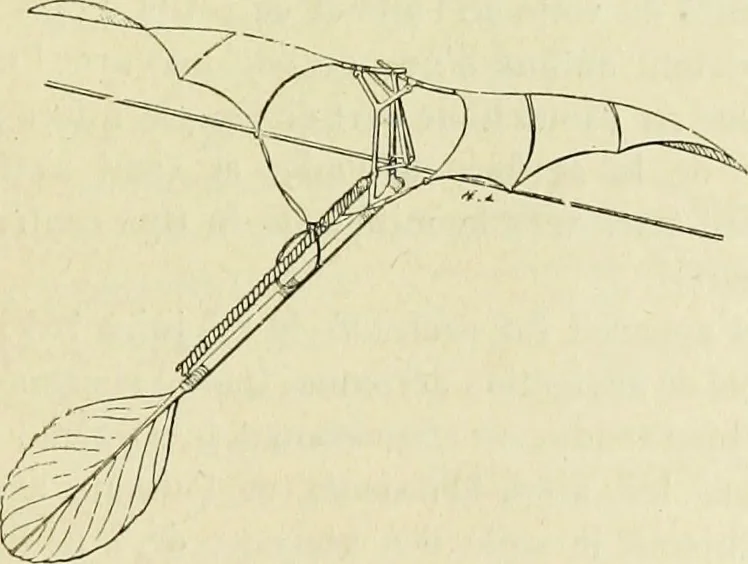 An illustration from La navigation aérienne : l'aviation et la direction des aérostats dans les temps anciens et modernes, 1886, leaf 110