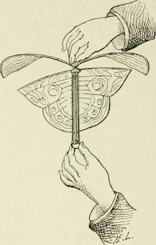 An illustration from La navigation aérienne : l'aviation et la direction des aérostats dans les temps anciens et modernes, 1886, leaf 133