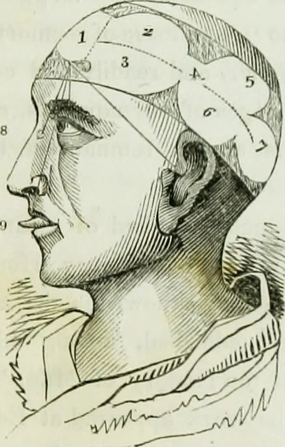 An illustration from History and progress of phrenology. (Read before the Western phrenological society, at Buffalo,), 1839, leaf 24