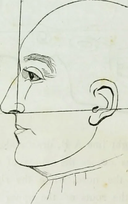 An illustration from History and progress of phrenology. (Read before the Western phrenological society, at Buffalo,), 1839, leaf 29
