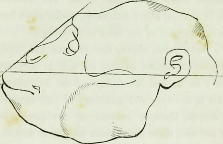 An illustration from History and progress of phrenology. (Read before the Western phrenological society, at Buffalo,), 1839, leaf 30