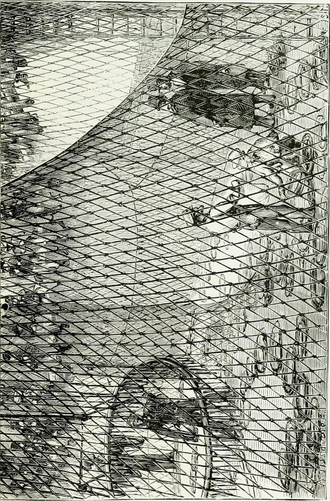 An illustration from Le grand ballon captif à vapeur de M. Henry Giffard : cour des Tuileries--Paris, 1878, 1878, leaf 22