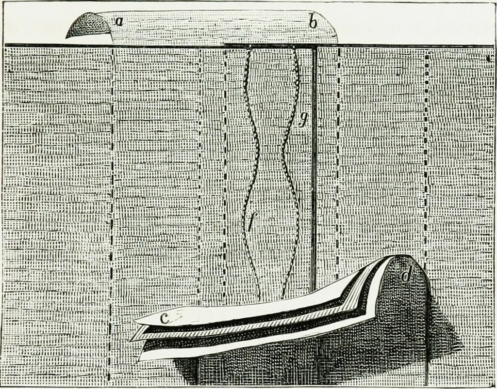 An illustration from Le grand ballon captif à vapeur de M. Henry Giffard : cour des Tuileries--Paris, 1878, 1878, leaf 42