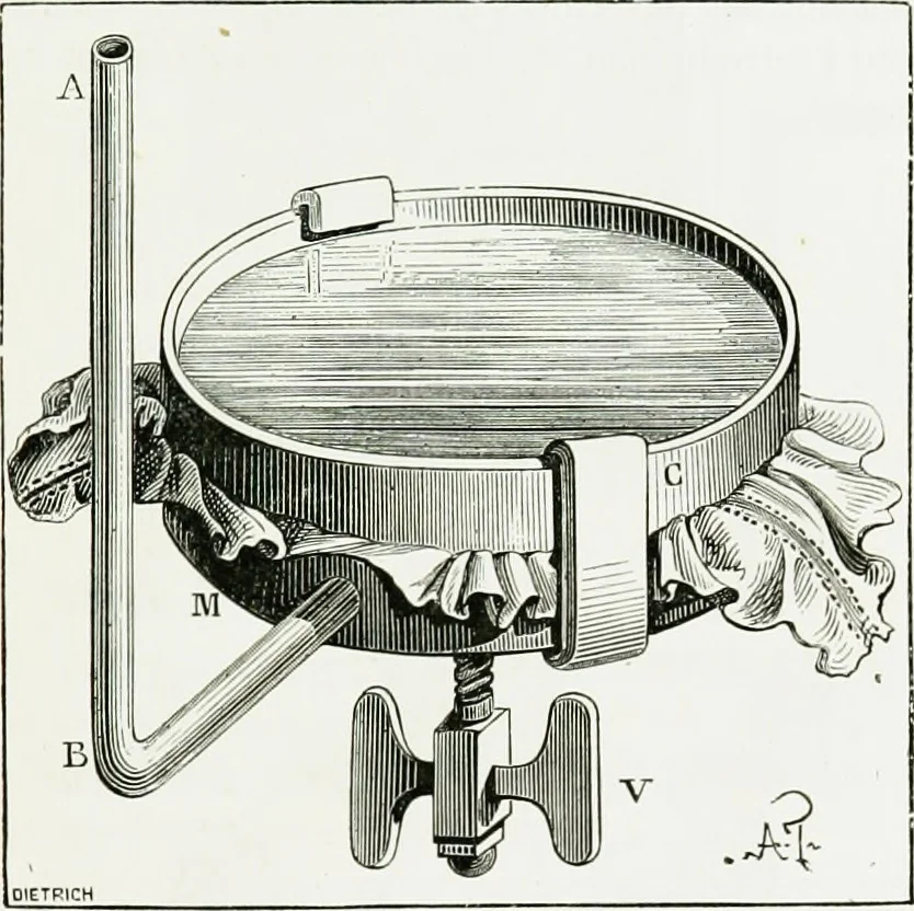 An illustration from Le grand ballon captif à vapeur de M. Henry Giffard : cour des Tuileries--Paris, 1878, 1878, leaf 98