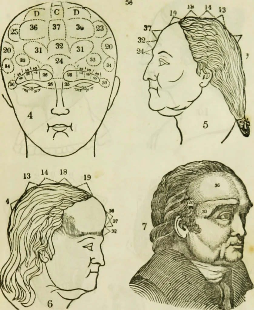 An illustration from Trials and triumphs of an orphan girl : or the biography of Mrs. Deiadamia Chase, physician and phrenologist, 1859, leaf 254
