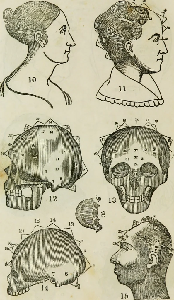An illustration from Trials and triumphs of an orphan girl : or the biography of Mrs. Deiadamia Chase, physician and phrenologist, 1859, leaf 255