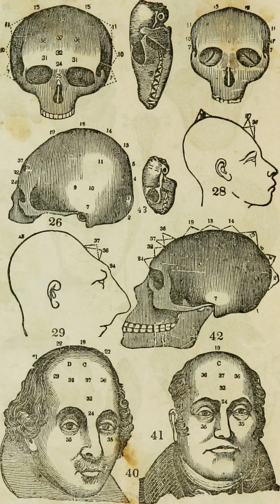 An illustration from Trials and triumphs of an orphan girl : or the biography of Mrs. Deiadamia Chase, physician and phrenologist, 1859, leaf 257