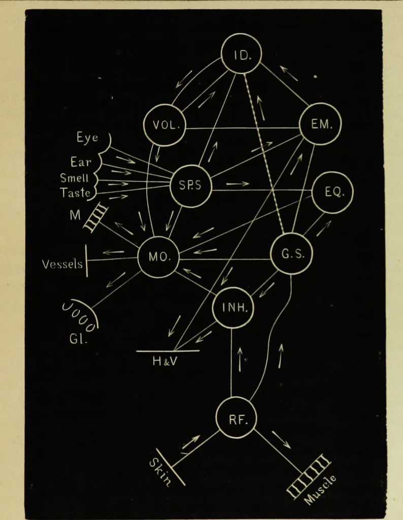An illustration from Psycho-therapeutics : or, treatment by hypnotism and suggestion, 1891, leaf 132