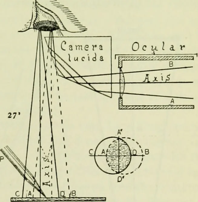 An illustration from The microscope and microscopical methods, 1896, leaf 114