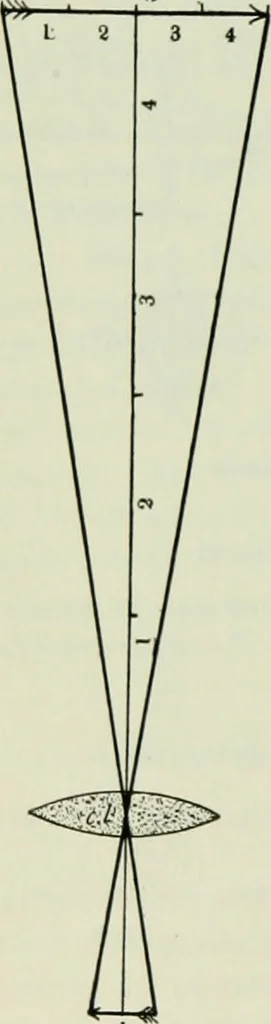 An illustration from The microscope and microscopical methods, 1896, leaf 115