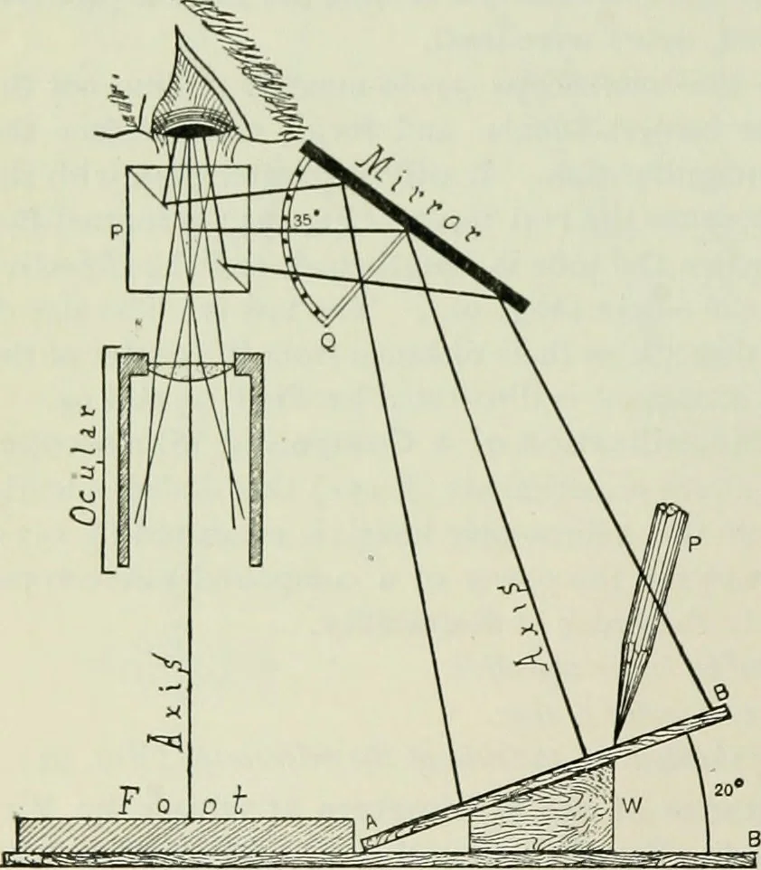 An illustration from The microscope and microscopical methods, 1896, leaf 117