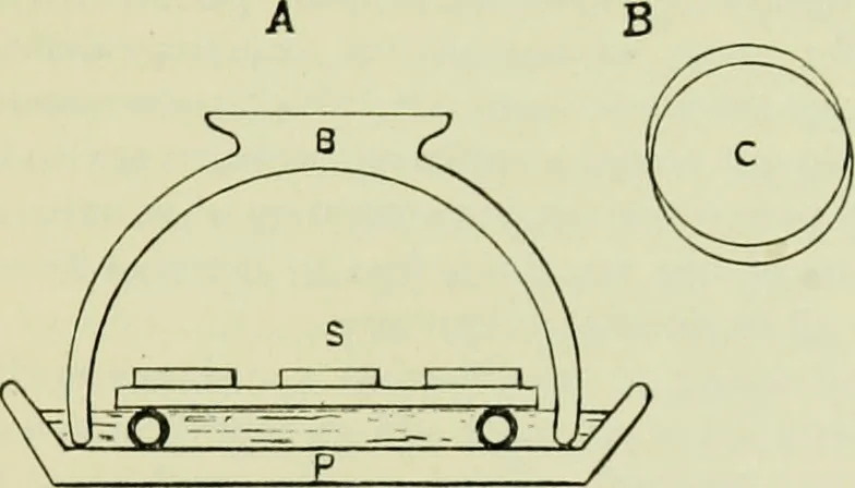 An illustration from The microscope and microscopical methods, 1896, leaf 170