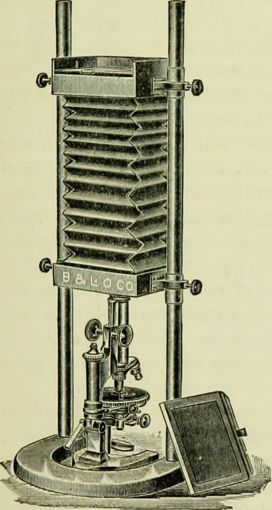 An illustration from The microscope and microscopical methods, 1896, leaf 214
