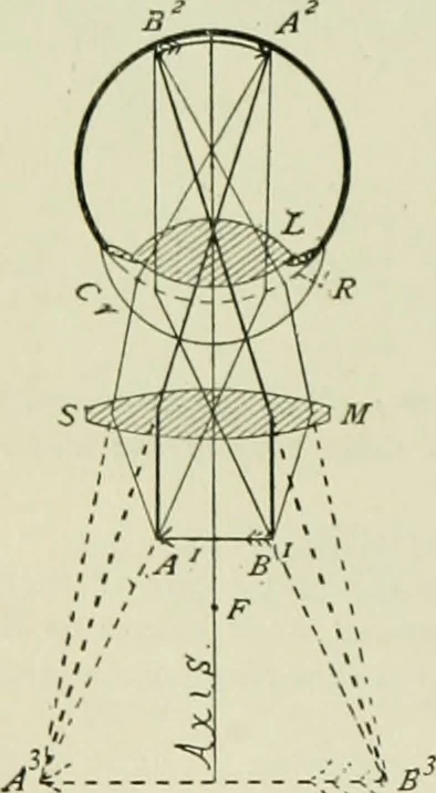An illustration from The microscope and microscopical methods, 1896, leaf 25