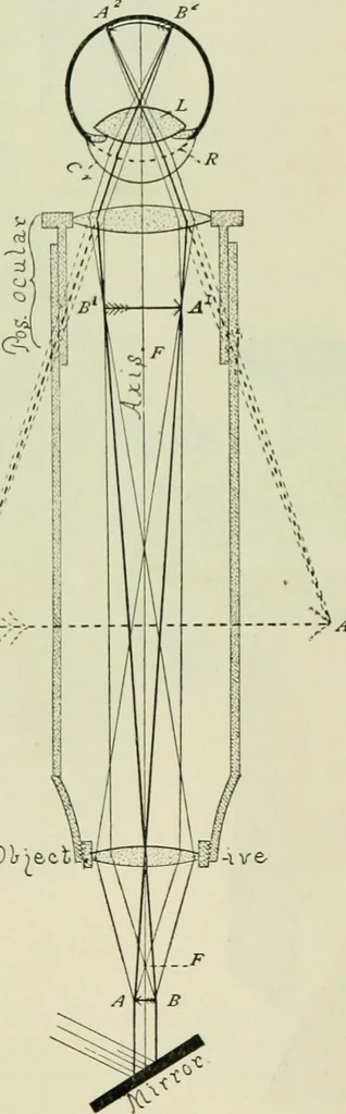 An illustration from The microscope and microscopical methods, 1896, leaf 29