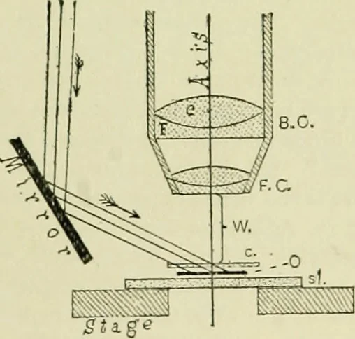 An illustration from The microscope and microscopical methods, 1896, leaf 30