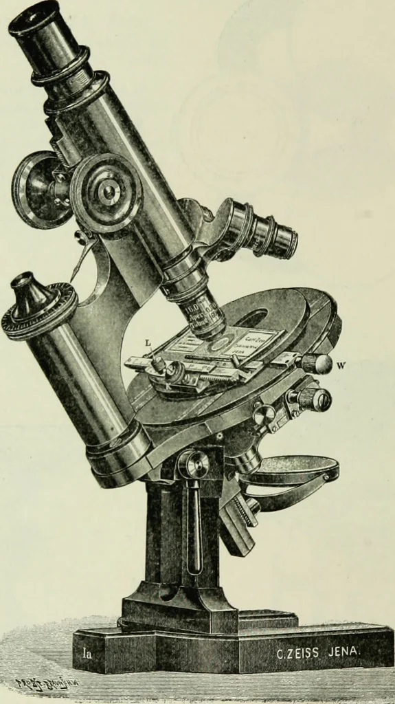 An illustration from The microscope and microscopical methods, 1896, leaf 85