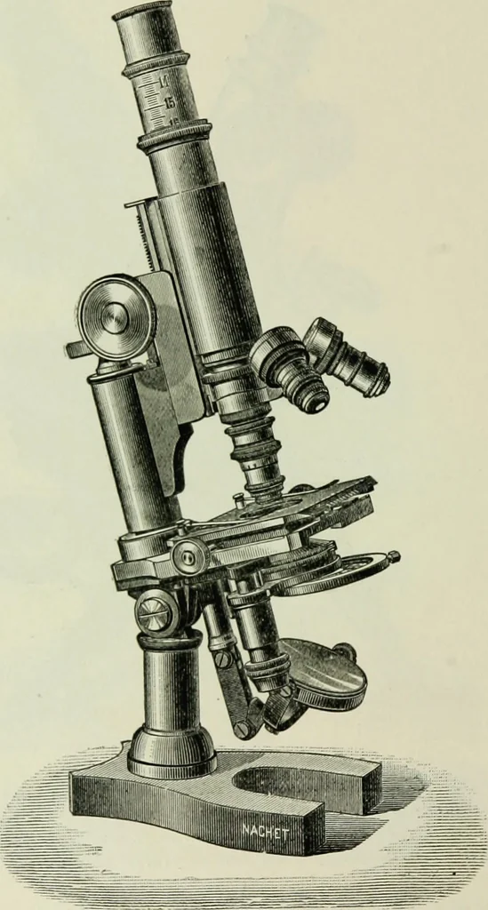 An illustration from The microscope and microscopical methods, 1896, leaf 87