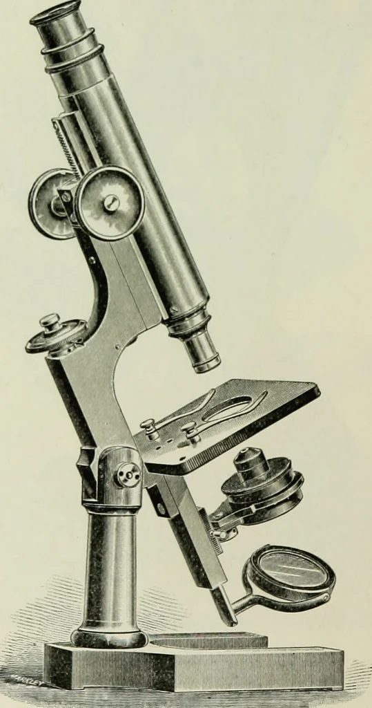 An illustration from The microscope and microscopical methods, 1896, leaf 95