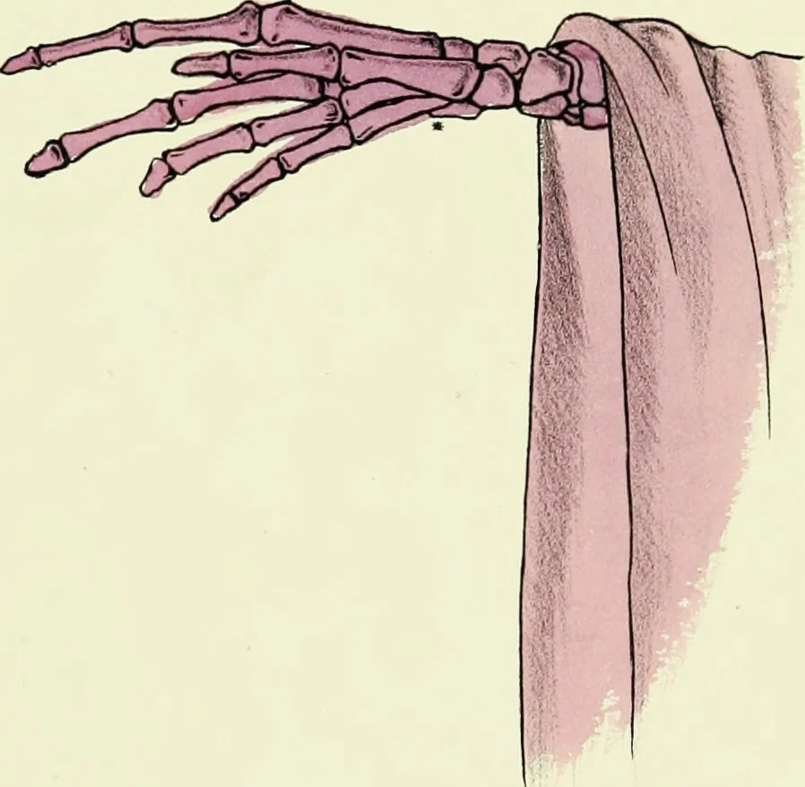 An illustration from Spectropia ; or, Surprising spectral illusions. Showing ghosts everywhere, and of any colour, 1865, leaf 28