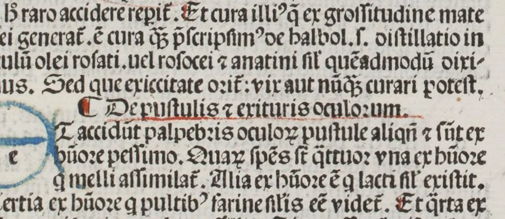 An illustration from Liber Teisir, sive Rectificatio medicationis et regiminis : antidotarium, leaf 24