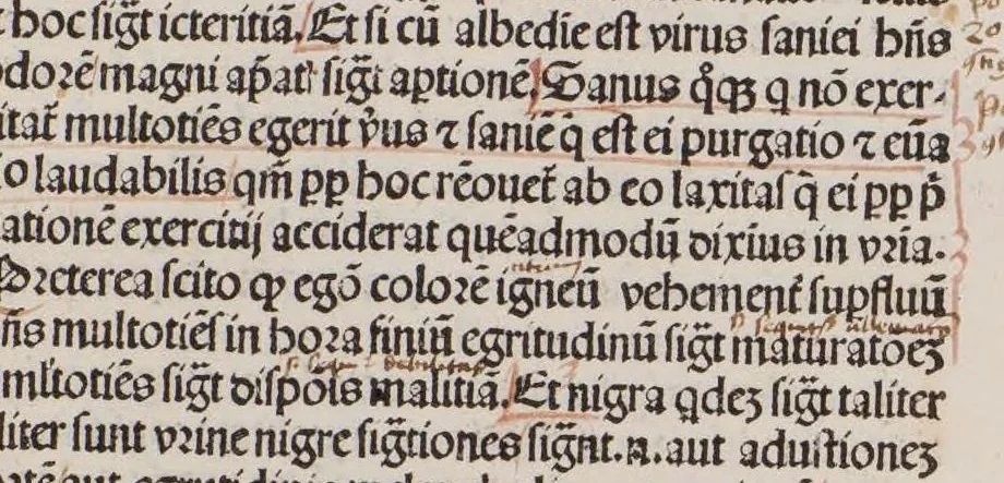 An illustration from Canon medicinae, leaf 82
