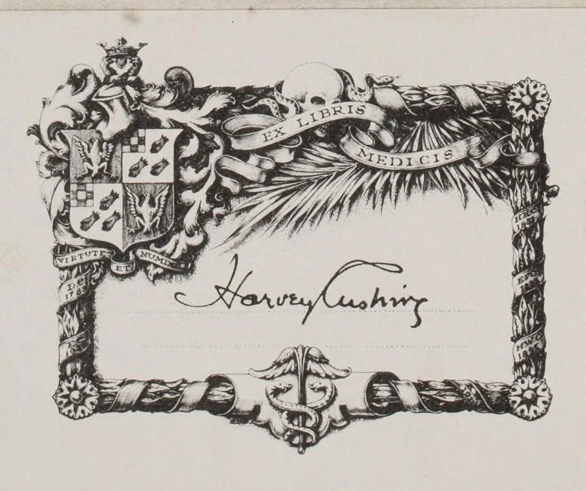 An illustration from Clarificatorium super nono Almansoris cum textu Rhasis, leaf 1