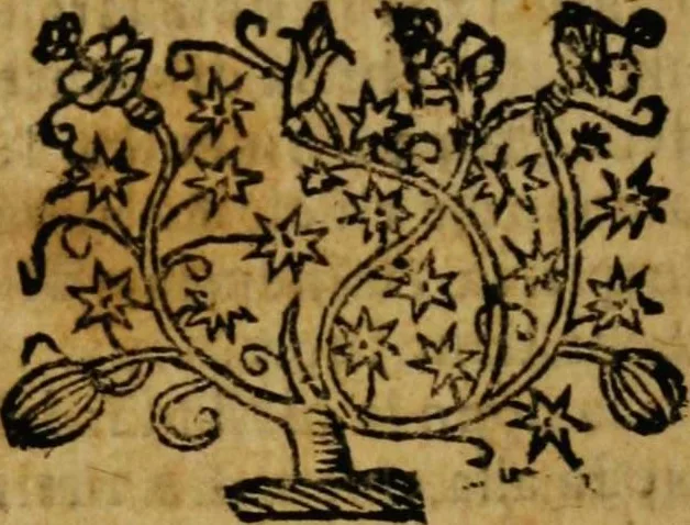 An illustration from Ristretto delle grandezze di Roma [electronic resource], 1637, leaf 224