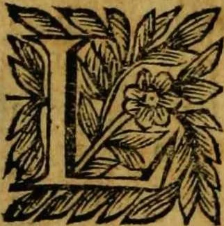 An illustration from Ristretto delle grandezze di Roma [electronic resource], 1637, leaf 25