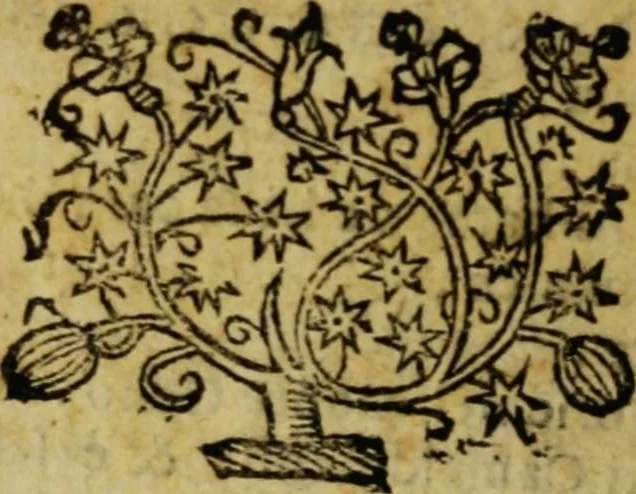 An illustration from Ristretto delle grandezze di Roma [electronic resource], 1637, leaf 60