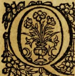 An illustration from Duodecim specula deum aliquando videre desideranti concinnata, 1610, leaf 21